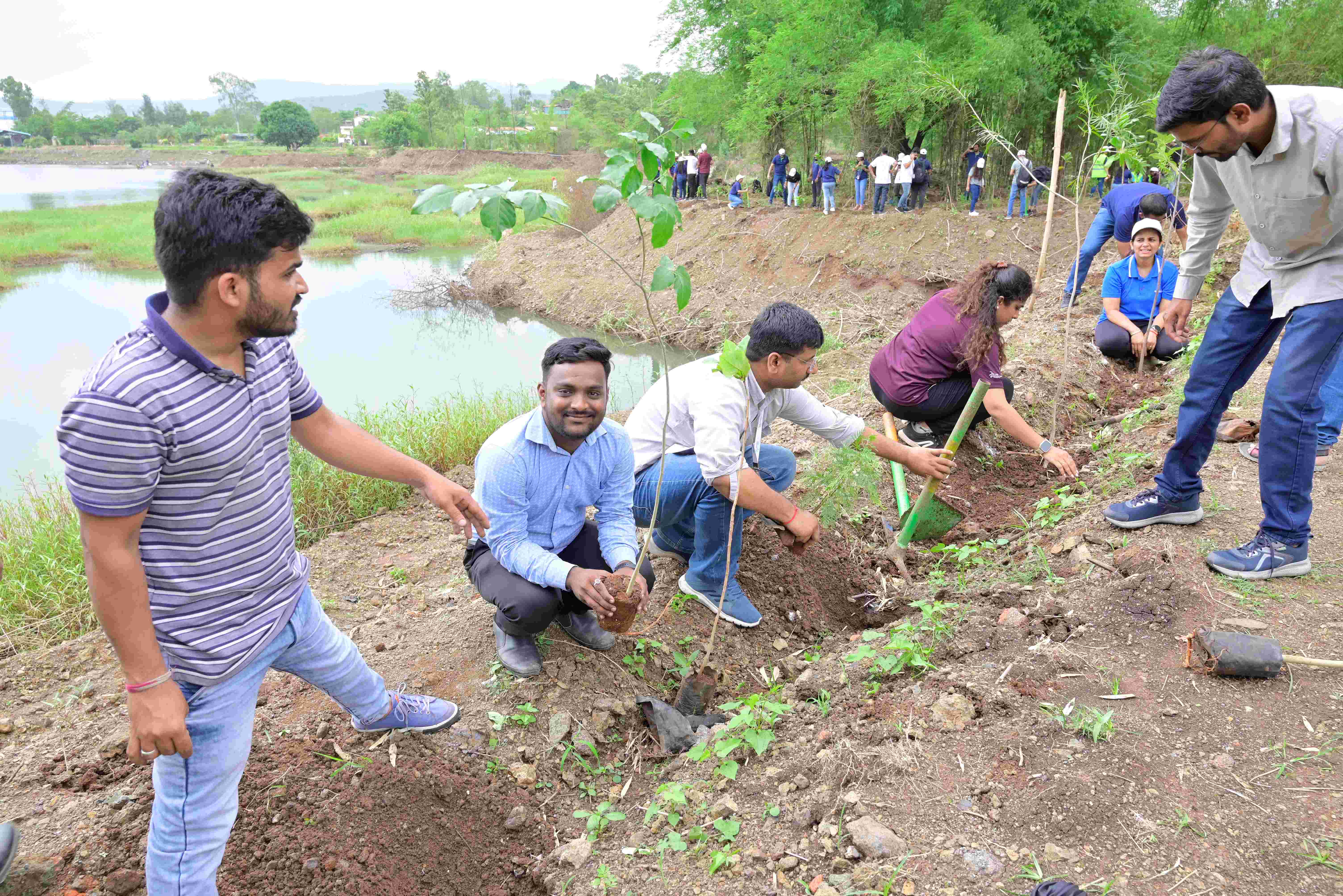 Group Planting Trees By River Bed